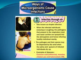 Microb