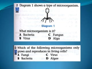 Microb