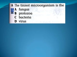 Microb