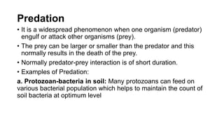 Predation
• It is a widespread phenomenon when one organism (predator)
engulf or attack other organisms (prey).
• The prey can be larger or smaller than the predator and this
normally results in the death of the prey.
• Normally predator-prey interaction is of short duration.
• Examples of Predation:
a. Protozoan-bacteria in soil: Many protozoans can feed on
various bacterial population which helps to maintain the count of
soil bacteria at optimum level
 