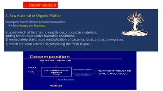 I. Decomposition
A. Raw material or Organic Matter
Soil organic matter derived primarily from plants –
• Mainly leaves and fine roots
In a soil which at first has no readily decomposable materials,
adding fresh tissue under favorable conditions:
1) immediately starts rapid multiplication of bacteria, fungi, and actinomycetes,
2) which are soon actively decomposing the fresh tissue.
 