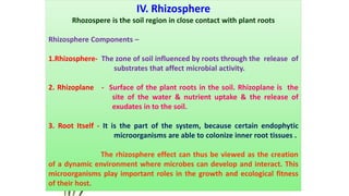IV. Rhizosphere
Rhozospere is the soil region in close contact with plant roots
Rhizosphere Components –
1.Rhizosphere- The zone of soil influenced by roots through the release of
substrates that affect microbial activity.
2. Rhizoplane - Surface of the plant roots in the soil. Rhizoplane is the
site of the water & nutrient uptake & the release of
exudates in to the soil.
3. Root Itself - It is the part of the system, because certain endophytic
microorganisms are able to colonize inner root tissues .
The rhizosphere effect can thus be viewed as the creation
of a dynamic environment where microbes can develop and interact. This
microorganisms play important roles in the growth and ecological fitness
of their host.
 