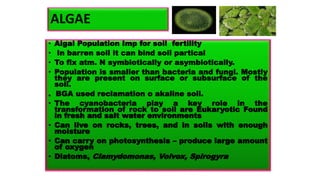 ALGAE
• Algal Population Imp for soil fertility
• In barren soil it can bind soil partical
• To fix atm. N symbiotically or asymbiotically.
• Population is smaller than bacteria and fungi. Mostly
they are present on surface or subsurface of the
soil.
. BGA used reclamation o akaline soil.
• The cyanobacteria play a key role in the
transformation of rock to soil are Eukaryotic Found
in fresh and salt water environments
• Can live on rocks, trees, and in soils with enough
moisture
• Can carry on photosynthesis – produce large amount
of oxygen
• Diatoms, Clamydomonas, Volvox, Spirogyra
 