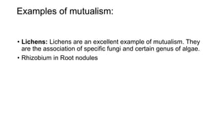Examples of mutualism:
• Lichens: Lichens are an excellent example of mutualism. They
are the association of specific fungi and certain genus of algae.
• Rhizobium in Root nodules
 