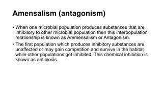 Amensalism (antagonism)
• When one microbial population produces substances that are
inhibitory to other microbial population then this interpopulation
relationship is known as Ammensalism or Antagonism.
• The first population which produces inhibitory substances are
unaffected or may gain competition and survive in the habitat
while other populations get inhibited. This chemical inhibition is
known as antibiosis.
 