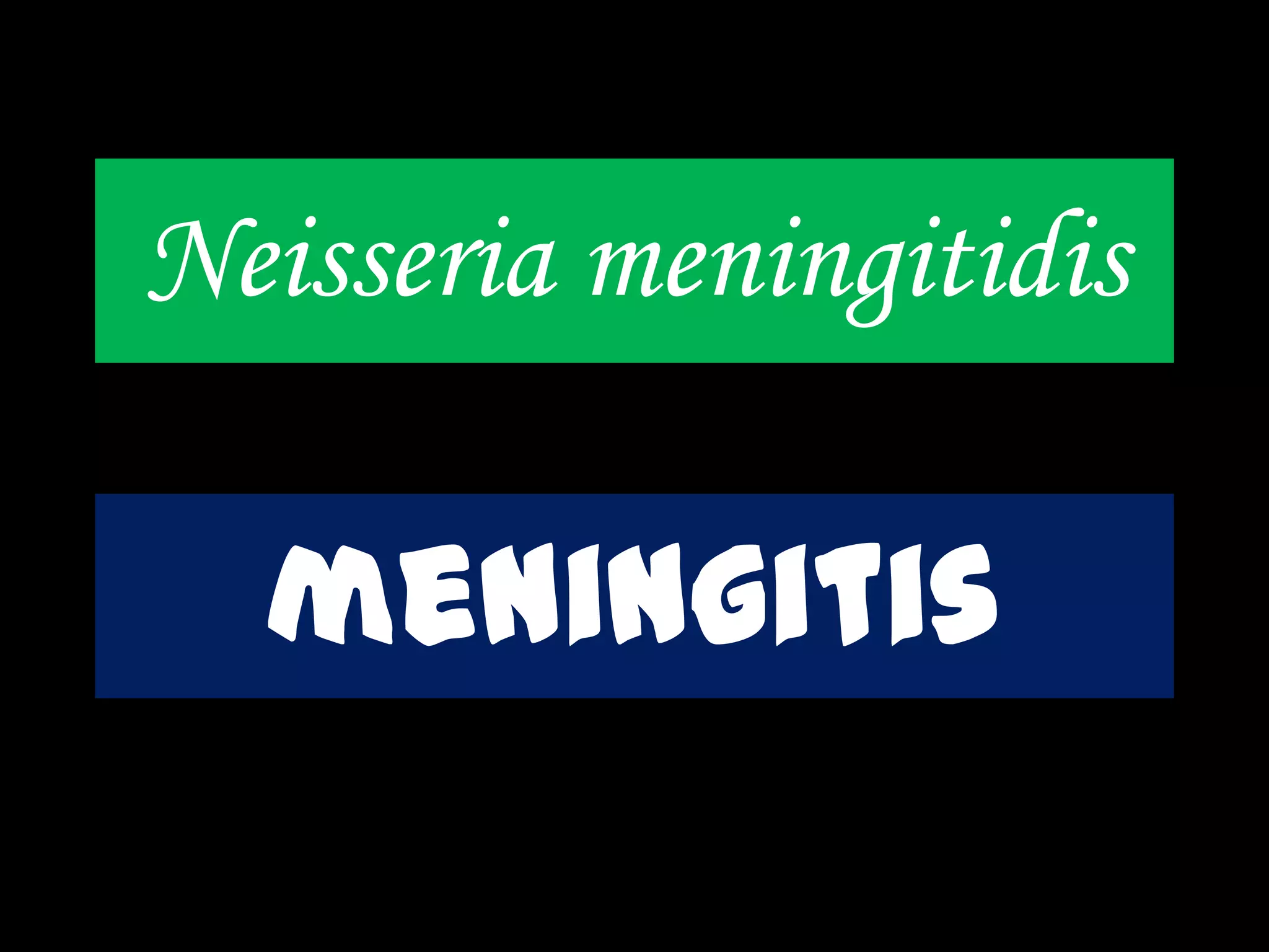 Neisseria meningitidis
meningitis
 