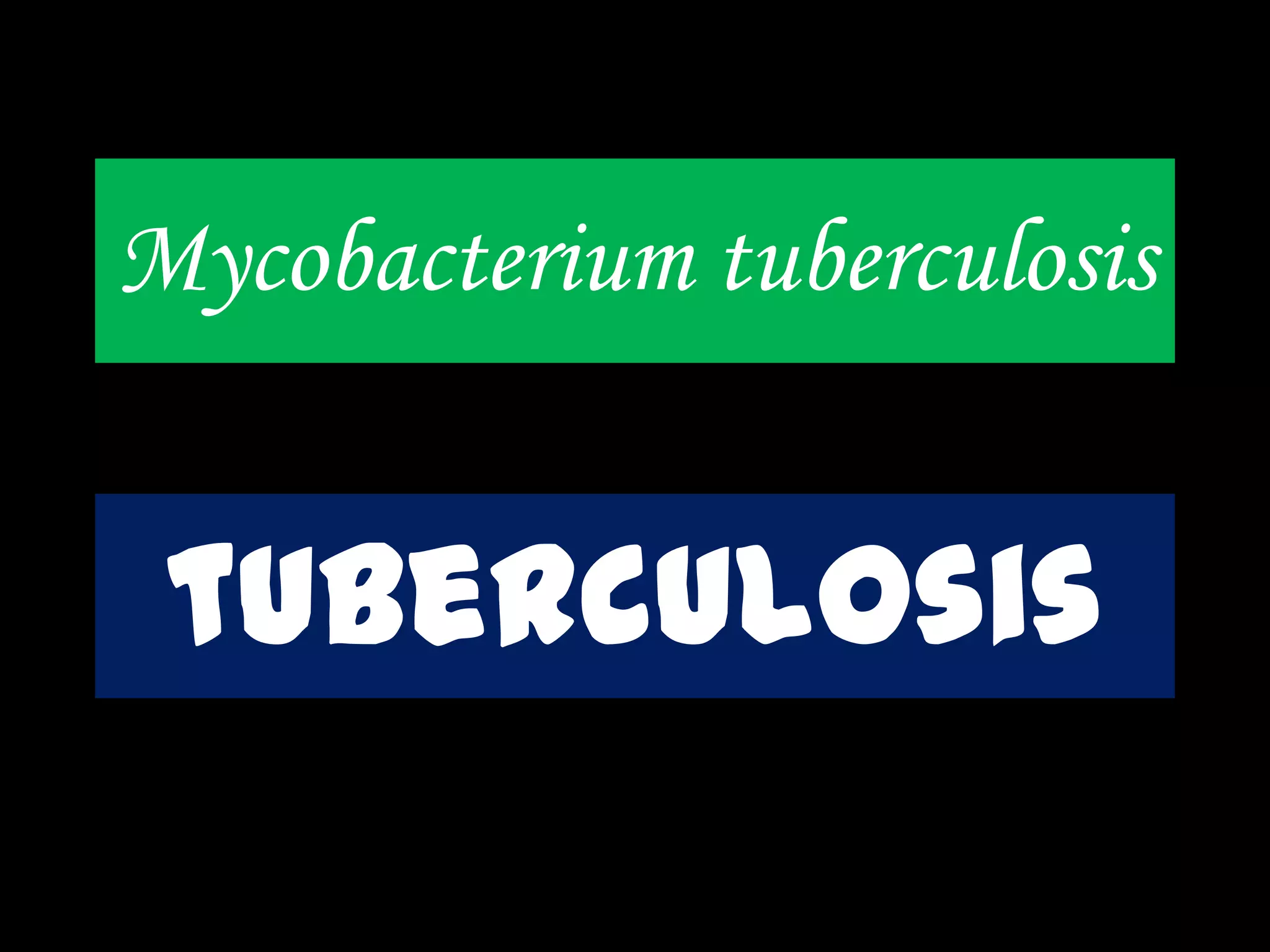 Mycobacterium tuberculosis
tuberculosis
 