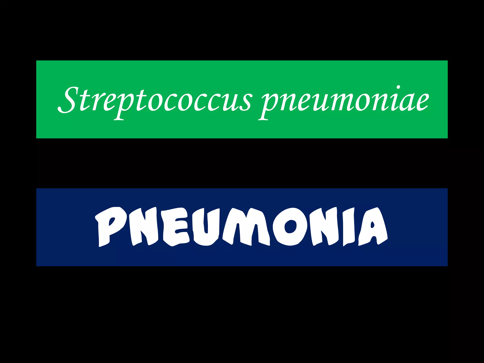 Streptococcus pneumoniae
pneumonia
 
