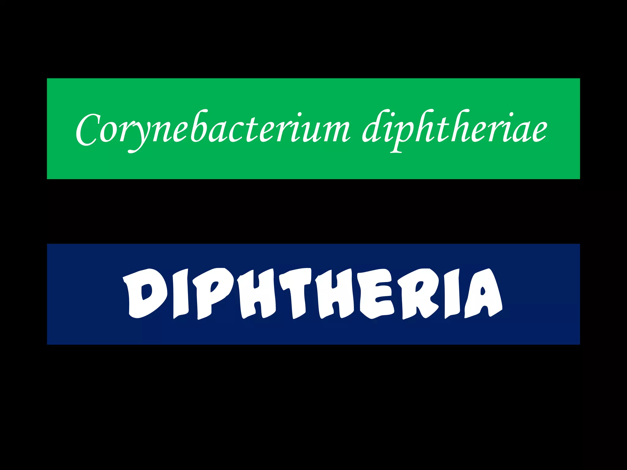 Corynebacterium diphtheriae
diphtheria
 
