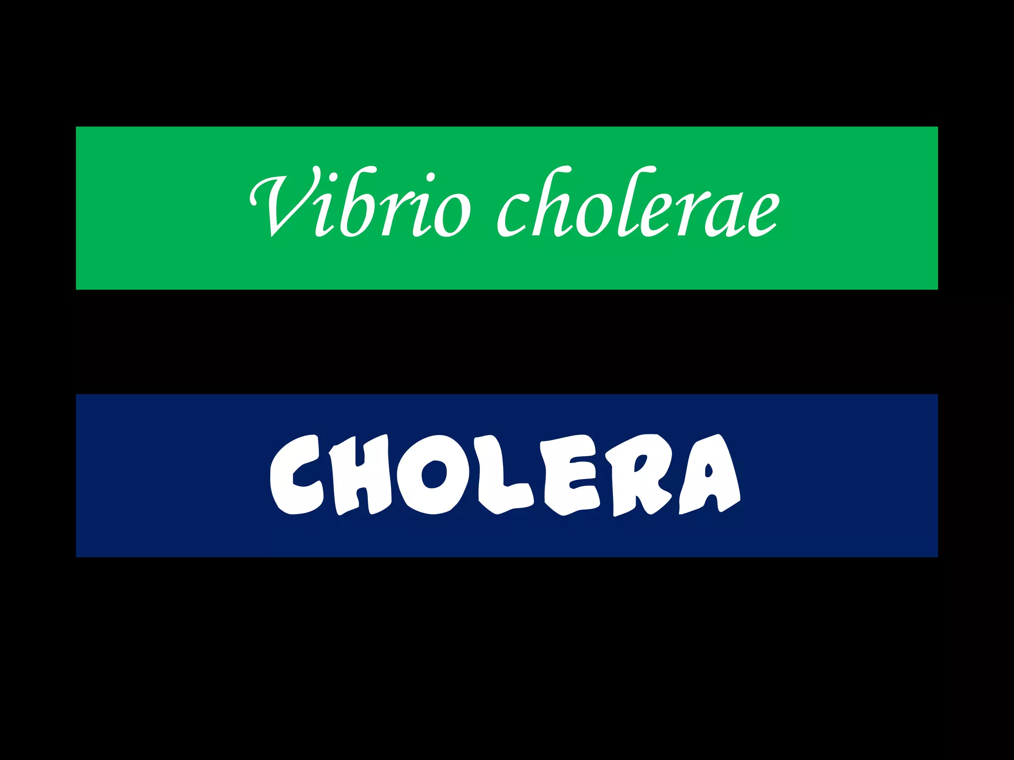 Vibrio cholerae
Cholera
 