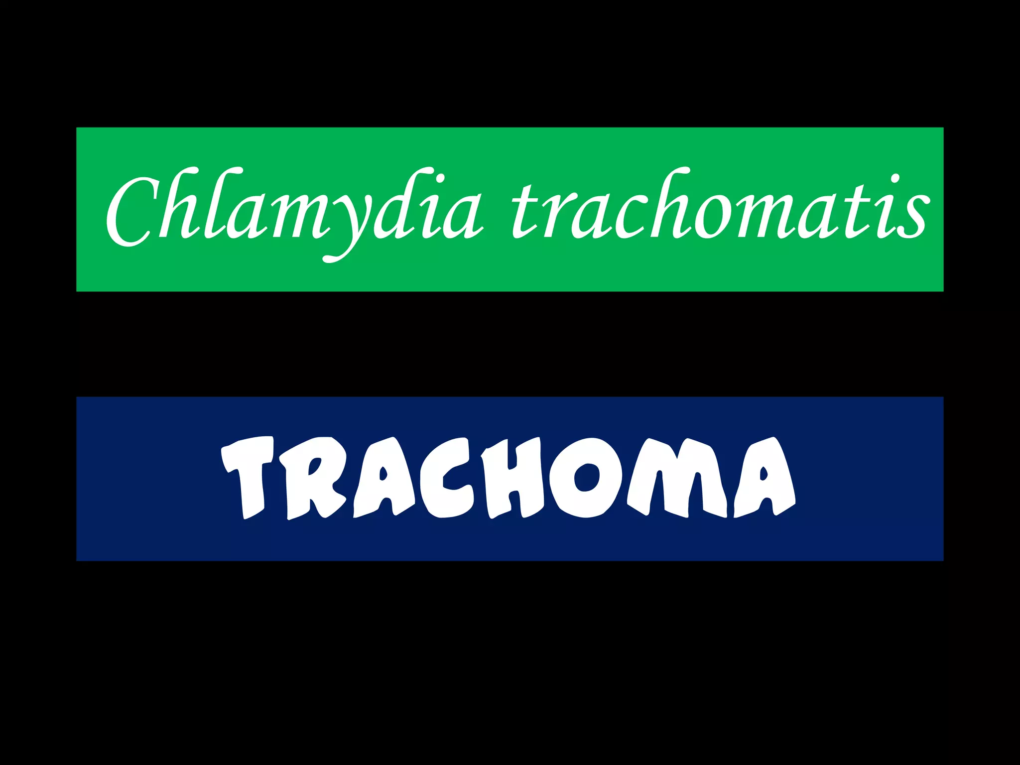 Chlamydia trachomatis
trachoma
 