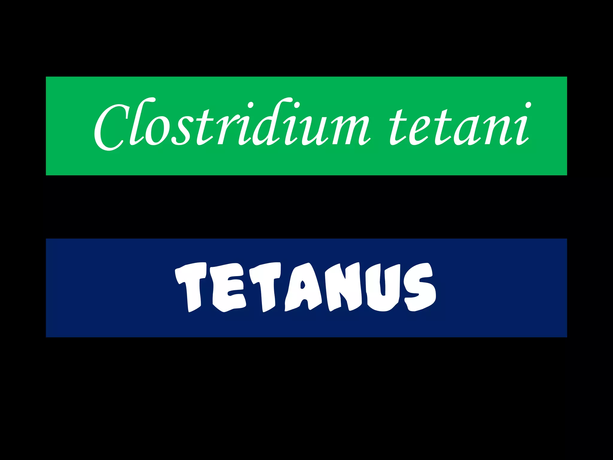 Clostridium tetani
tetanus
 