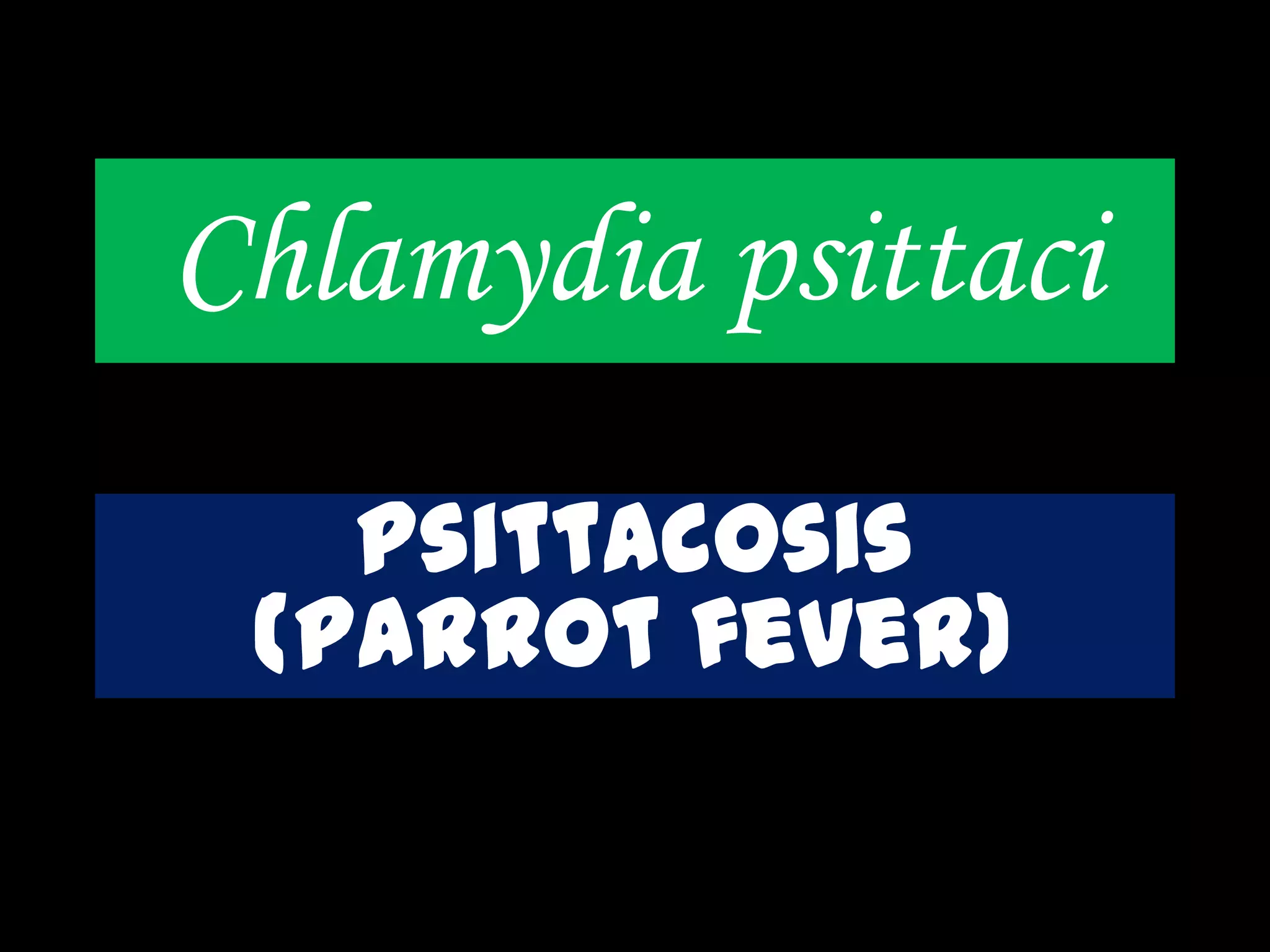 Chlamydia psittaci
Psittacosis
(parrot fever)
 
