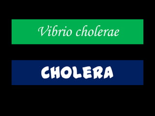 Vibrio cholerae
Cholera
 
