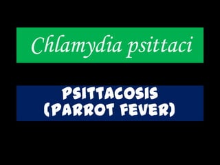 Chlamydia psittaci
Psittacosis
(parrot fever)
 