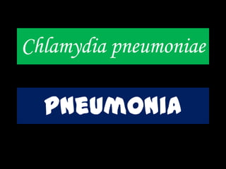 Chlamydia pneumoniae
pneumonia
 