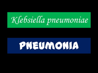 Klebsiella pneumoniae
pneumonia
 