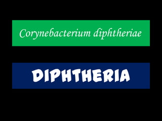 Corynebacterium diphtheriae
diphtheria
 
