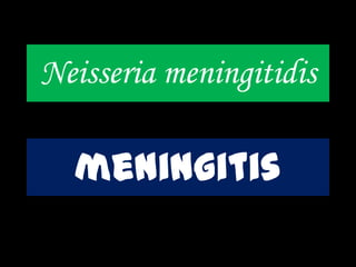 Neisseria meningitidis
meningitis
 