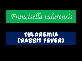 Francisella tularensis
Tularemia
(rabbit fever)
 