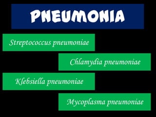 Streptococcus pneumoniae
pneumonia
Chlamydia pneumoniae
Klebsiella pneumoniae
Mycoplasma pneumoniae
 