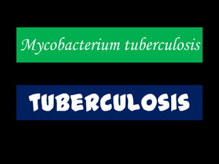 Mycobacterium tuberculosis
tuberculosis
 