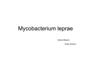 Mycobacterium leprae Nuñez Moreno   Cesar Octavio  