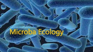 Microba Ecology
O
 
