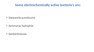 • Shewanella putrefaciens
• Aeromonas hydrophila
• Geobacteraceae.
 