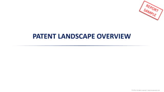 © 2016 All rights reserved | www.knowmade.com
PATENT LANDSCAPE OVERVIEW
 