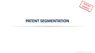 © 2016 All rights reserved | www.knowmade.com
PATENT SEGMENTATION
 