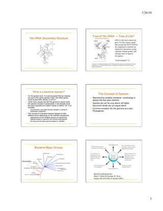 1/26/10
3
16s rRNA Secondary Structure
Tree of 16s rRNA → Tree of Life?
rRNA is the most conserved
gene. For this reason, genes
that encode the rRNA (rDNA)
are sequenced to identify an
organism's taxonomic group,
calculate related groups, and
estimate rates of species
divergence
“Gold standard” (?)
1985 Lane et al. Rapid Determination of 16S Ribosomal RNA Sequences for Phylogenetic Analyses
1990 Woese et al. Towards a Natural System of Organisms: Proposal for the Domains Archaea,
Bacteria, and Eucarya
“What is a bacterial species?”
  On the genetic level, it is well accepted that two isolates
are part of the same species if their 16S rRNA genes
share at least 98% identity (or 97%?)
  “while many people had felt that genomics would clarify
the species concept in prokaryotes, it has actually done
the exact opposite and made it harder to define” (W. Ford
Doolittle)
–  recombination and gene transfer between a variety of
prokaryotic organisms
  The concept of a bacterial species appears to take
different forms depending on the scientific perspective
–  Escherichia coli and Shigella species are significantly
different based on genomic and clinical examinations
–  But they are the same species based on 16sRNA
The Concept of Species
  Reproductive isolation (however, morphology is
always the first pass method)
  Species we can be sure about; all higher
taxonomic levels we can argue about
  Common ancestor (for the genome as a set):
Phylogenies
Bacteria Major Groups
thermophilic
(85-95o C. optimal growth temp)
(thermophilic, anaerobic, fermentative rods)
(phototrophs)
(proteobacteria)
Bacterial pathogenomics
Mark J. Pallen & Brendan W. Wren
Nature 449, 835-842(18 October 2007)
 