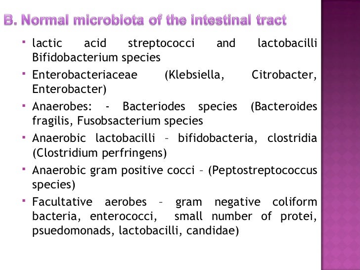 Microbe human interaction