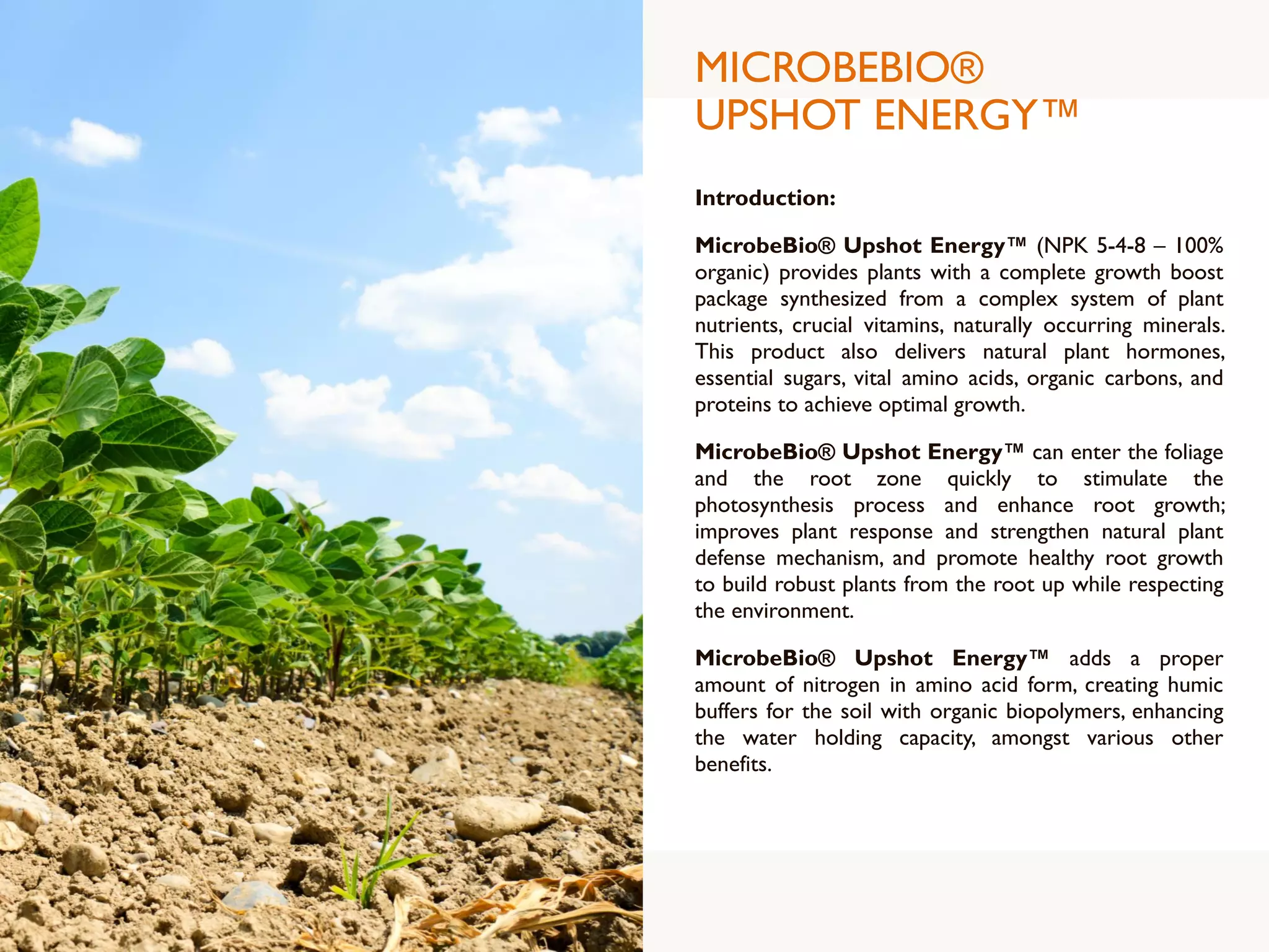 MICROBEBIO®
UPSHOT ENERGY™
Introduction:
MicrobeBio® Upshot Energy™ (NPK 5-4-8 – 100%
organic) provides plants with a complete growth boost
package synthesized from a complex system of plant
nutrients, crucial vitamins, naturally occurring minerals.
This product also delivers natural plant hormones,
essential sugars, vital amino acids, organic carbons, and
proteins to achieve optimal growth.
MicrobeBio® Upshot Energy™ can enter the foliage
and the root zone quickly to stimulate the
photosynthesis process and enhance root growth;
improves plant response and strengthen natural plant
defense mechanism, and promote healthy root growth
to build robust plants from the root up while respecting
the environment.
MicrobeBio® Upshot Energy™ adds a proper
amount of nitrogen in amino acid form, creating humic
buffers for the soil with organic biopolymers, enhancing
the water holding capacity, amongst various other
benefits.
 
