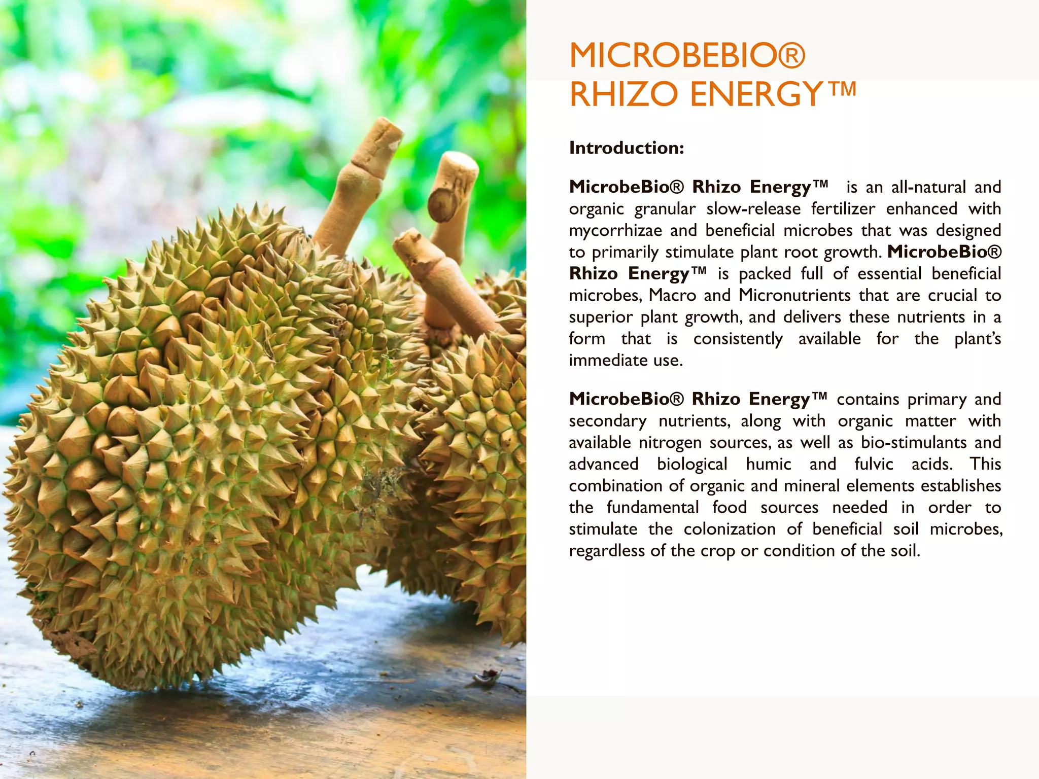 MICROBEBIO®
RHIZO ENERGY™
Introduction:
MicrobeBio® Rhizo Energy™ is an all-natural and
organic granular slow-release fertilizer enhanced with
mycorrhizae and beneficial microbes that was designed
to primarily stimulate plant root growth. MicrobeBio®
Rhizo Energy™ is packed full of essential beneficial
microbes, Macro and Micronutrients that are crucial to
superior plant growth, and delivers these nutrients in a
form that is consistently available for the plant’s
immediate use.
MicrobeBio® Rhizo Energy™ contains primary and
secondary nutrients, along with organic matter with
available nitrogen sources, as well as bio-stimulants and
advanced biological humic and fulvic acids. This
combination of organic and mineral elements establishes
the fundamental food sources needed in order to
stimulate the colonization of beneficial soil microbes,
regardless of the crop or condition of the soil.
 
