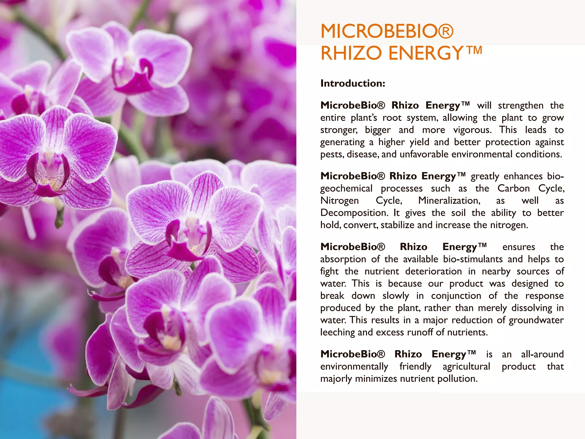 MICROBEBIO®
RHIZO ENERGY™
Introduction:
MicrobeBio® Rhizo Energy™ will strengthen the
entire plant’s root system, allowing the plant to grow
stronger, bigger and more vigorous. This leads to
generating a higher yield and better protection against
pests, disease, and unfavorable environmental conditions.
MicrobeBio® Rhizo Energy™ greatly enhances bio-
geochemical processes such as the Carbon Cycle,
Nitrogen Cycle, Mineralization, as well as
Decomposition. It gives the soil the ability to better
hold, convert, stabilize and increase the nitrogen.
MicrobeBio® Rhizo Energy™ ensures the
absorption of the available bio-stimulants and helps to
fight the nutrient deterioration in nearby sources of
water. This is because our product was designed to
break down slowly in conjunction of the response
produced by the plant, rather than merely dissolving in
water. This results in a major reduction of groundwater
leeching and excess runoff of nutrients.
MicrobeBio® Rhizo Energy™ is an all-around
environmentally friendly agricultural product that
majorly minimizes nutrient pollution.
 