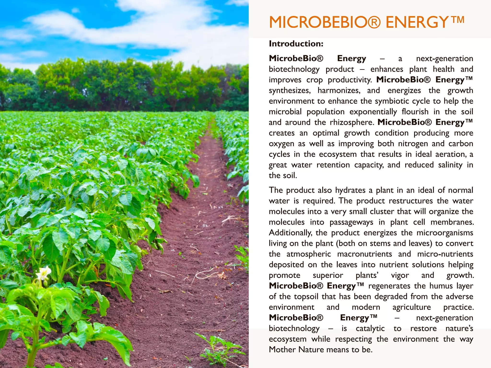 MICROBEBIO® ENERGY™
Introduction:
MicrobeBio® Energy – a next-generation
biotechnology product – enhances plant health and
improves crop productivity. MicrobeBio® Energy™
synthesizes, harmonizes, and energizes the growth
environment to enhance the symbiotic cycle to help the
microbial population exponentially flourish in the soil
and around the rhizosphere. MicrobeBio® Energy™
creates an optimal growth condition producing more
oxygen as well as improving both nitrogen and carbon
cycles in the ecosystem that results in ideal aeration, a
great water retention capacity, and reduced salinity in
the soil.
The product also hydrates a plant in an ideal of normal
water is required. The product restructures the water
molecules into a very small cluster that will organize the
molecules into passageways in plant cell membranes.
Additionally, the product energizes the microorganisms
living on the plant (both on stems and leaves) to convert
the atmospheric macronutrients and micro-nutrients
deposited on the leaves into nutrient solutions helping
promote superior plants’ vigor and growth.
MicrobeBio® Energy™ regenerates the humus layer
of the topsoil that has been degraded from the adverse
environment and modern agriculture practice.
MicrobeBio® Energy™ – next-generation
biotechnology – is catalytic to restore nature’s
ecosystem while respecting the environment the way
Mother Nature means to be.
 