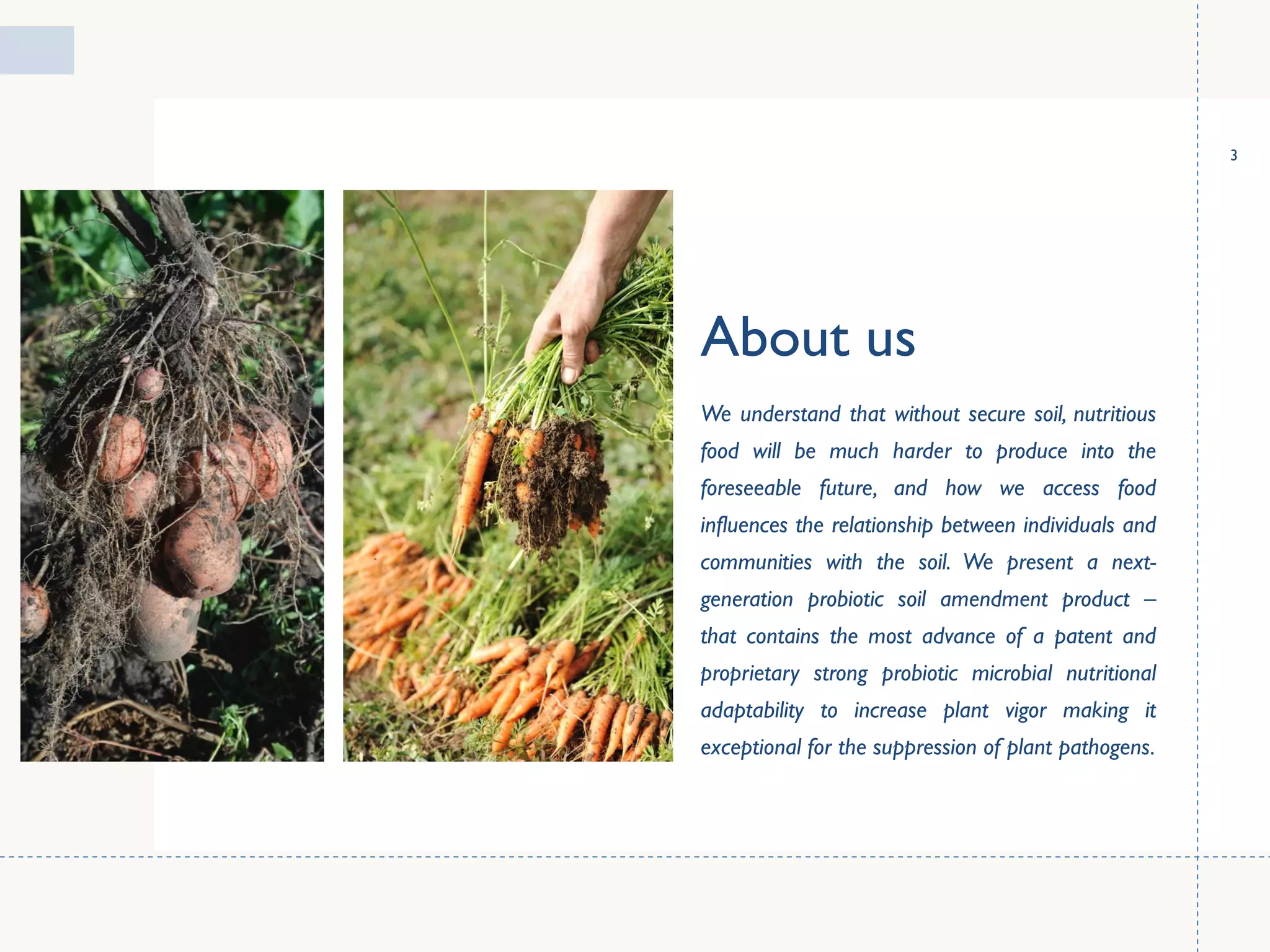 About us
We understand that without secure soil, nutritious
food will be much harder to produce into the
foreseeable future, and how we access food
influences the relationship between individuals and
communities with the soil. We present a next-
generation probiotic soil amendment product –
that contains the most advance of a patent and
proprietary strong probiotic microbial nutritional
adaptability to increase plant vigor making it
exceptional for the suppression of plant pathogens.
3
 