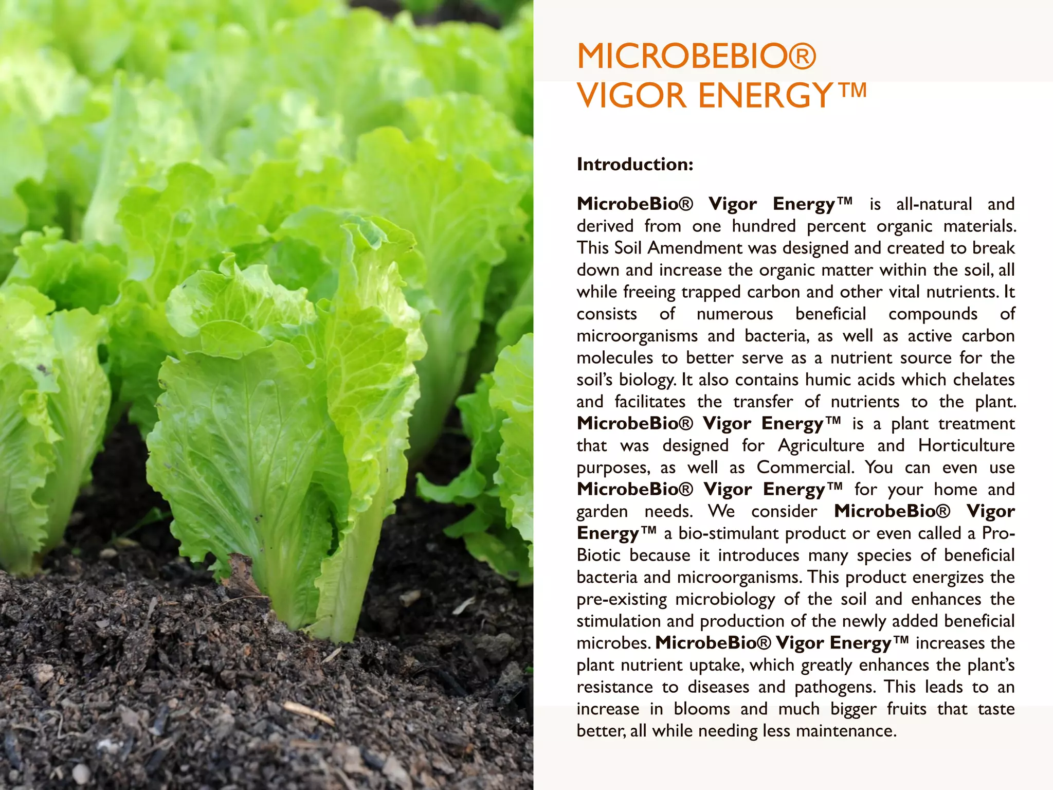 MICROBEBIO®
VIGOR ENERGY™
Introduction:
MicrobeBio® Vigor Energy™ is all-natural and
derived from one hundred percent organic materials.
This Soil Amendment was designed and created to break
down and increase the organic matter within the soil, all
while freeing trapped carbon and other vital nutrients. It
consists of numerous beneficial compounds of
microorganisms and bacteria, as well as active carbon
molecules to better serve as a nutrient source for the
soil’s biology. It also contains humic acids which chelates
and facilitates the transfer of nutrients to the plant.
MicrobeBio® Vigor Energy™ is a plant treatment
that was designed for Agriculture and Horticulture
purposes, as well as Commercial. You can even use
MicrobeBio® Vigor Energy™ for your home and
garden needs. We consider MicrobeBio® Vigor
Energy™ a bio-stimulant product or even called a Pro-
Biotic because it introduces many species of beneficial
bacteria and microorganisms. This product energizes the
pre-existing microbiology of the soil and enhances the
stimulation and production of the newly added beneficial
microbes. MicrobeBio® Vigor Energy™ increases the
plant nutrient uptake, which greatly enhances the plant’s
resistance to diseases and pathogens. This leads to an
increase in blooms and much bigger fruits that taste
better, all while needing less maintenance.
 