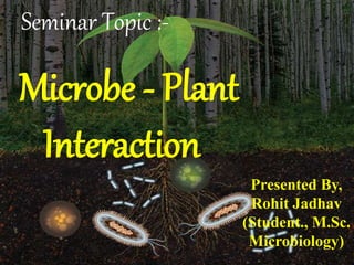 Seminar Topic :-
Microbe - Plant
Interaction
Presented By,
Rohit Jadhav
(Student., M.Sc.
Microbiology)
 