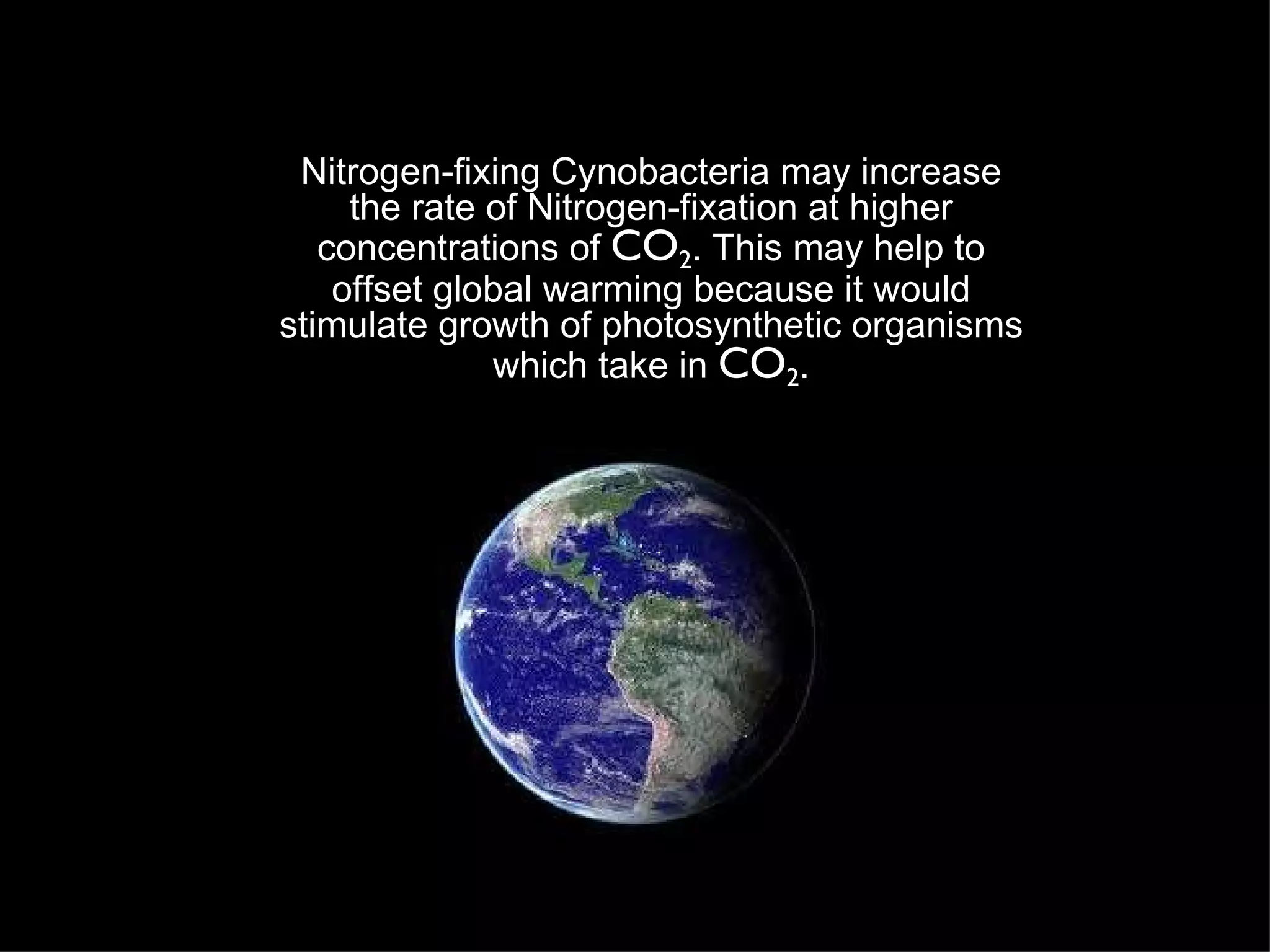 Nitrogen-fixing Cynobacteria may increase the rate of Nitrogen-fixation at higher concentrations of  CO 2 . This may help to offset global warming because it would stimulate growth of photosynthetic organisms which take in  CO 2 . 