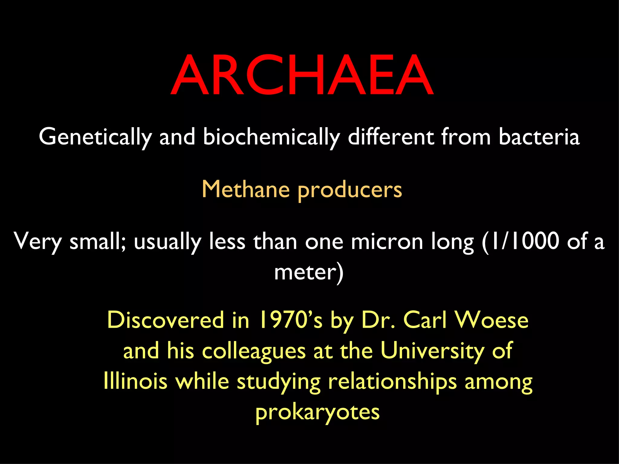 ARCHAEA Genetically and biochemically different from bacteria Methane producers Very small; usually less than one micron long (1/1000 of a meter) Discovered in 1970’s by Dr. Carl Woese and his colleagues at the University of Illinois while studying relationships among prokaryotes 