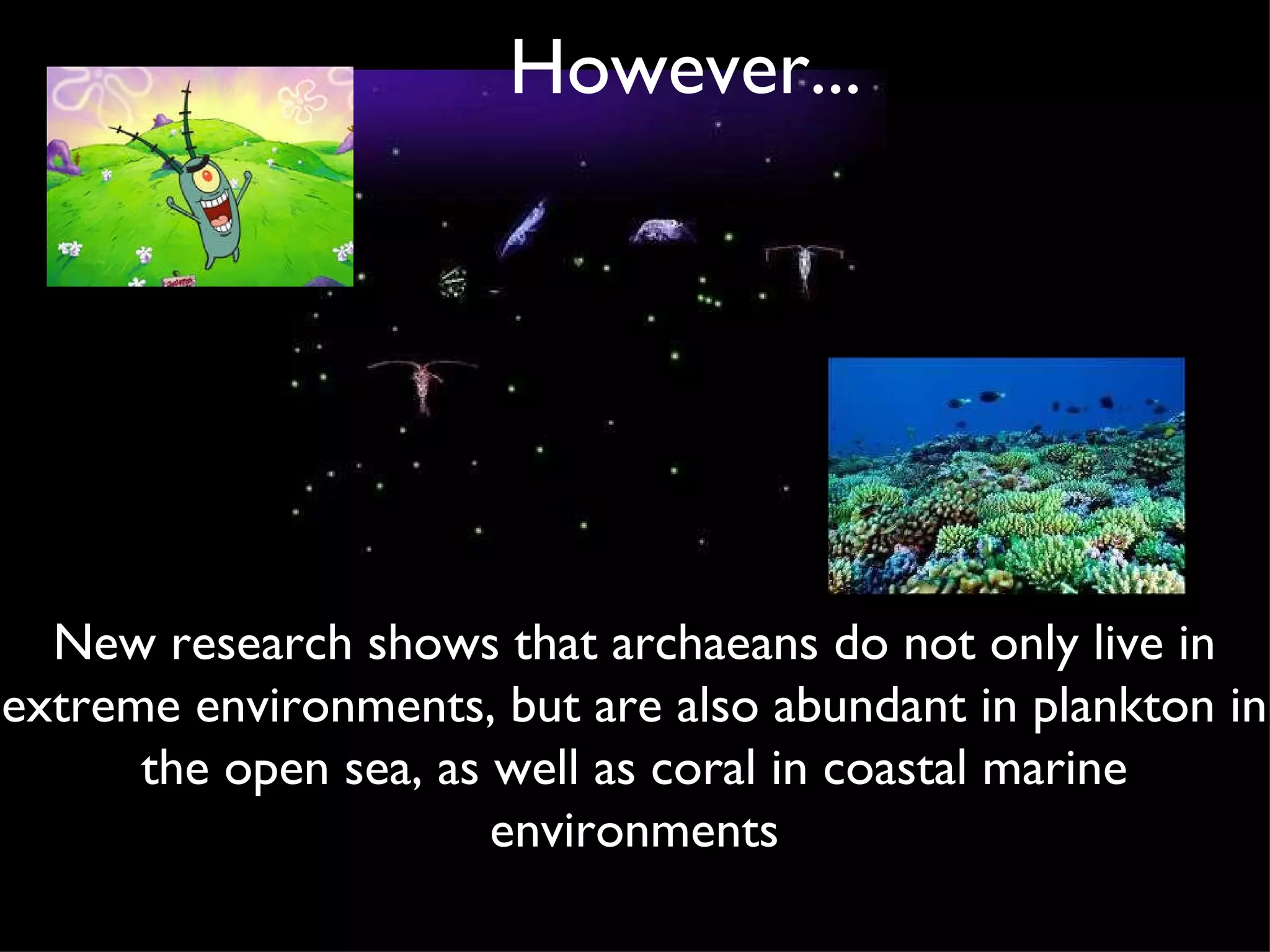 However... New research shows that archaeans do not only live in extreme environments, but are also abundant in plankton in the open sea, as well as coral in coastal marine environments 