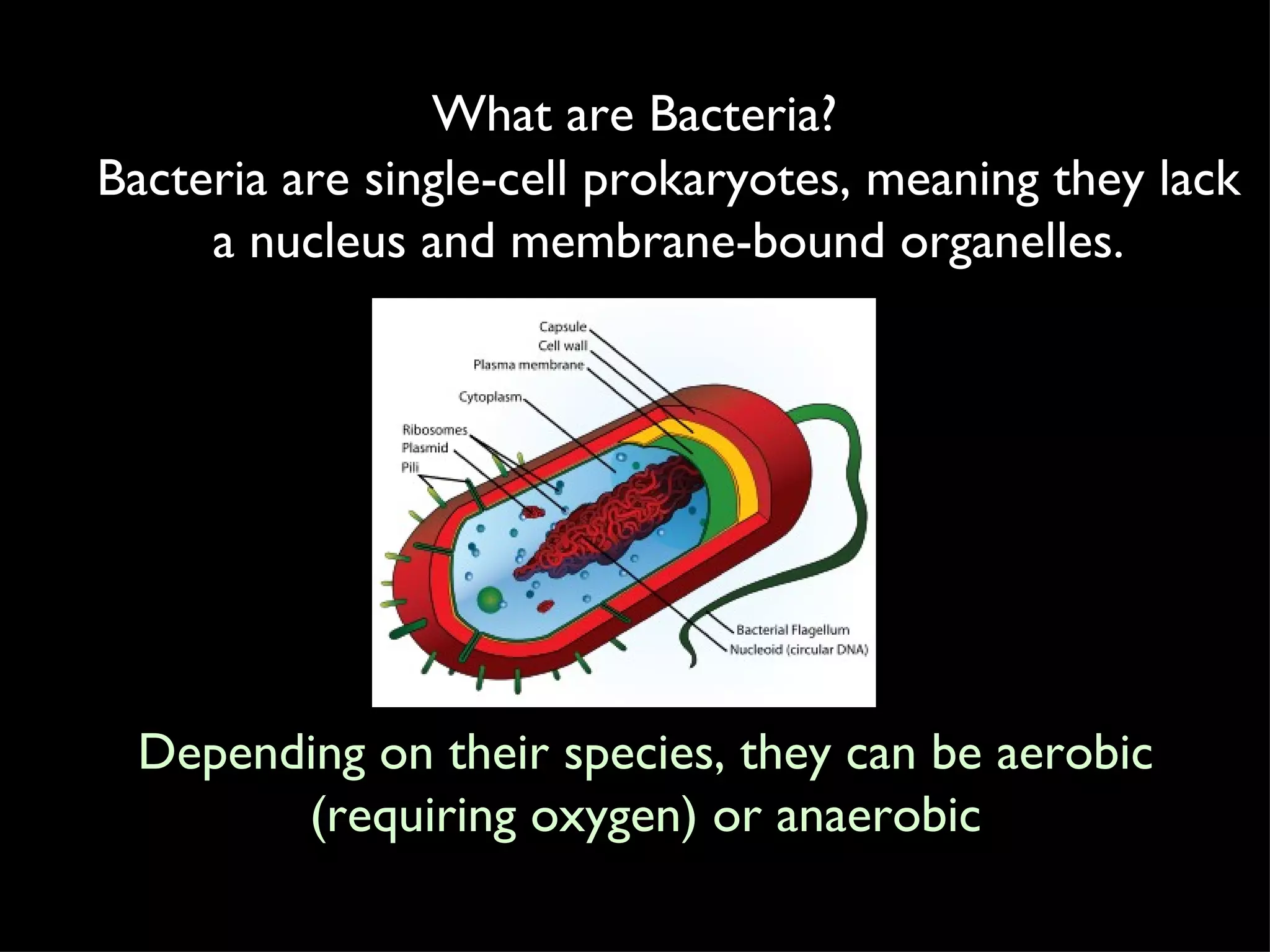 What are Bacteria? Bacteria are single-cell prokaryotes, meaning they lack a nucleus and membrane-bound organelles. Depending on their species, they can be aerobic (requiring oxygen) or anaerobic 