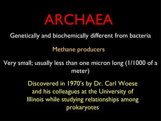 ARCHAEA Genetically and biochemically different from bacteria Methane producers Very small; usually less than one micron long (1/1000 of a meter) Discovered in 1970’s by Dr. Carl Woese and his colleagues at the University of Illinois while studying relationships among prokaryotes 