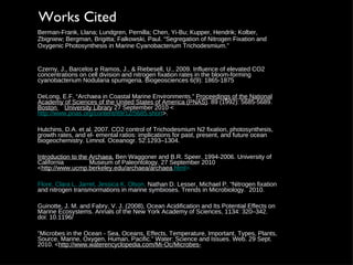 Czerny, J., Barcelos e Ramos, J., & Riebesell, U., 2009. Influence of elevated CO2 concentrations on cell division and nitrogen fixation rates in the bloom-forming cyanobacterium Nodularia spumigena. Biogeosciences 6(9): 1865-1875 D eLong, E.F. “Archaea in Coastal Marine Environments.”  Proceedings of the National Academy of Sciences of the United States of America (PNAS) . 89 (1992): 5685-5689.  Boston  University Library  27 September 2010 < http://www.pnas.org/content/89/12/5685.short >. Hutchins, D.A. et al. 2007. CO2 control of Trichodesmium N2 fixation, photosynthesis, growth rates, and el- emental ratios: implications for past, present, and future ocean biogeochemistry. Limnol. Oceanogr. 52:1293–1304. Introduction to the Archaea.  Ben Waggoner and B.R. Speer. 1994-2006. University of California  Museum of Paleontology. 27 September 2010 < http://www.ucmp.berkeley.edu/archaea/archaea .html >. Flore, Clara L. Jarret, Jessica K. Olson,  Nathan D. Lesser, Michael P. “Nitrogen fixation and nitrogen transmormations in marine symbioses. Trends in Microbiology.  2010. Guinotte, J. M. and Fabry, V. J. (2008), Ocean Acidification and Its Potential Effects on Marine Ecosystems. Annals of the New York Academy of Sciences, 1134: 320–342. doi: 10.1196/ "Microbes in the Ocean - Sea, Oceans, Effects, Temperature, Important, Types, Plants, Source, Marine, Oxygen, Human, Pacific." Water: Science and Issues. Web. 29 Sept. 2010. < http://www.waterencyclopedia.com/Mi-Oc/Microbes- Works Cited Berman-Frank, Llana; Lundgren, Pernilla; Chen, Yi-Bu; Kupper, Hendrik; Kolber,  Zbigniew; Bergman, Brigitta; Falkowski, Paul. “Segregation of Nitrogen Fixation and Oxygenic Photosynthesis in Marine Cyanobacterium Trichodesmium.” 