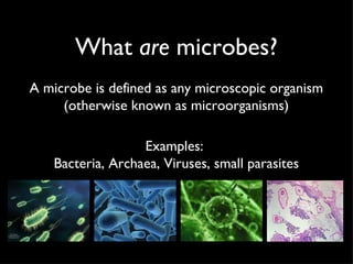 A microbe is defined as any microscopic organism (otherwise known as microorganisms) What  are  microbes? Examples:  Bacteria, Archaea, Viruses, small parasites  
