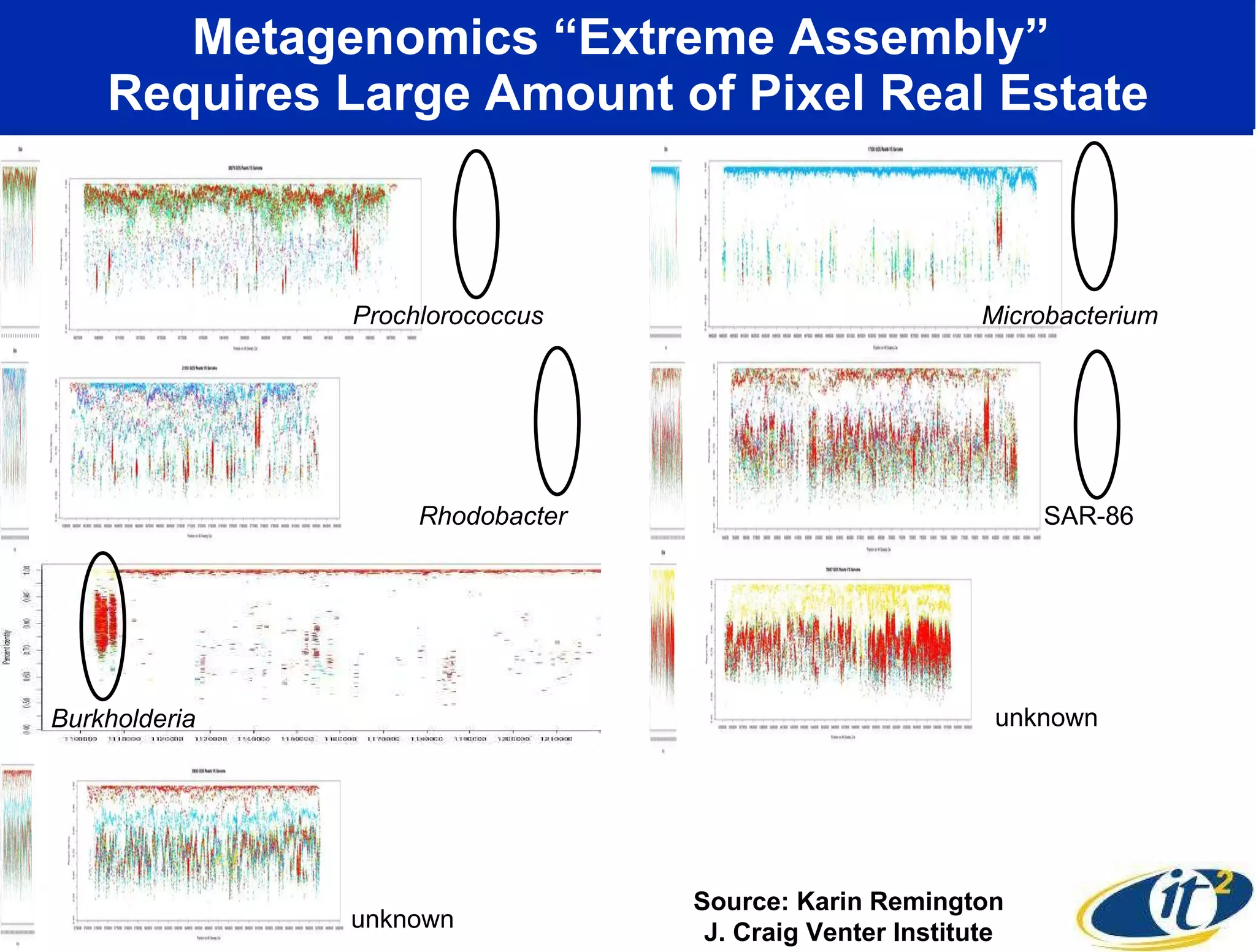 Metagenomics “Extreme Assembly”  Requires Large Amount of Pixel Real Estate Source: Karin Remington J. Craig Venter Institute Prochlorococcus Microbacterium Burkholderia Rhodobacter SAR-86 unknown unknown 