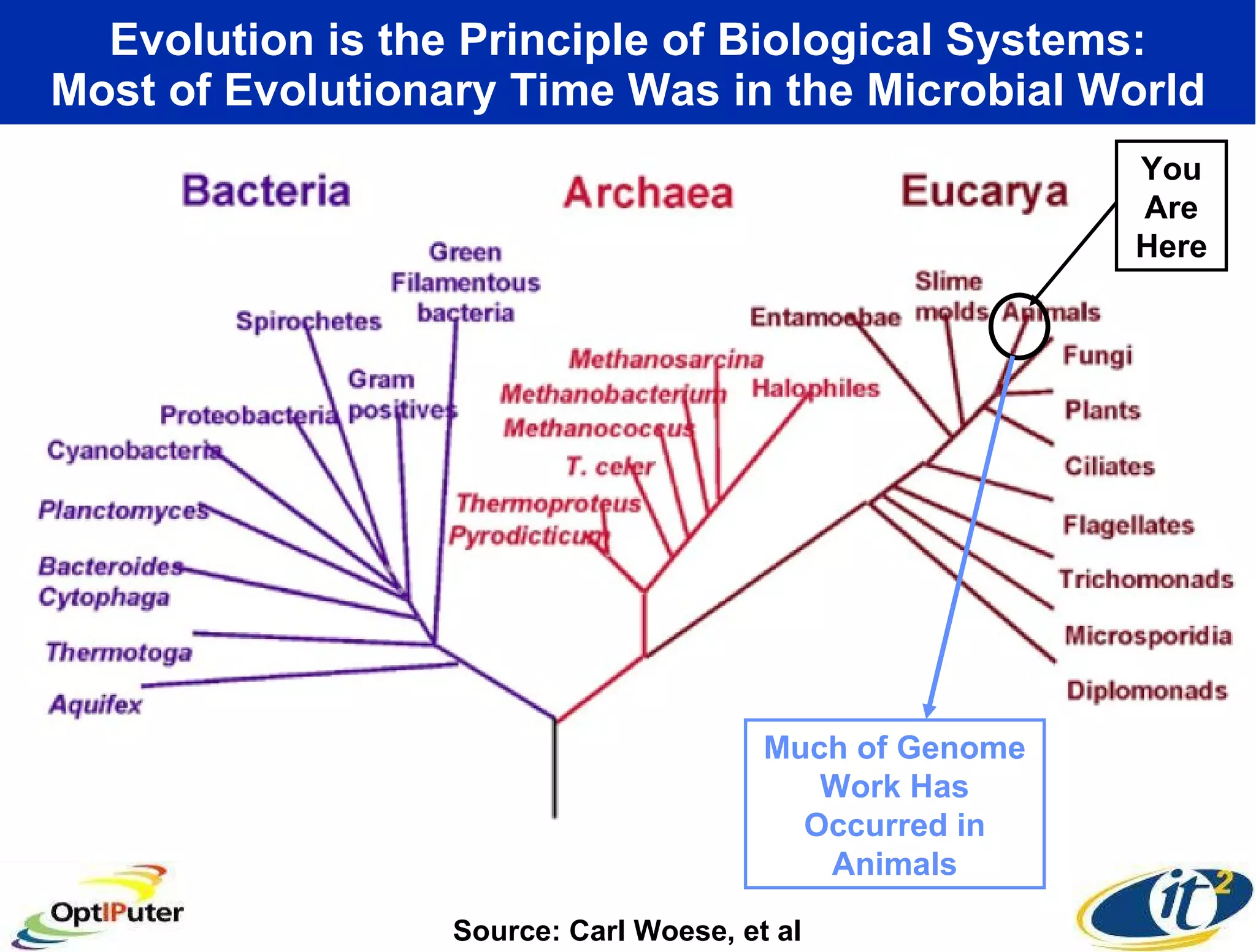 Evolution is the Principle of Biological Systems: Most of Evolutionary Time Was in the Microbial World Source: Carl Woese, et al You Are Here Much of Genome Work Has Occurred in Animals 