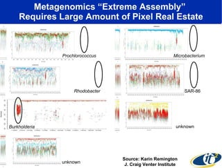 Metagenomics “Extreme Assembly”  Requires Large Amount of Pixel Real Estate Source: Karin Remington J. Craig Venter Institute Prochlorococcus Microbacterium Burkholderia Rhodobacter SAR-86 unknown unknown 